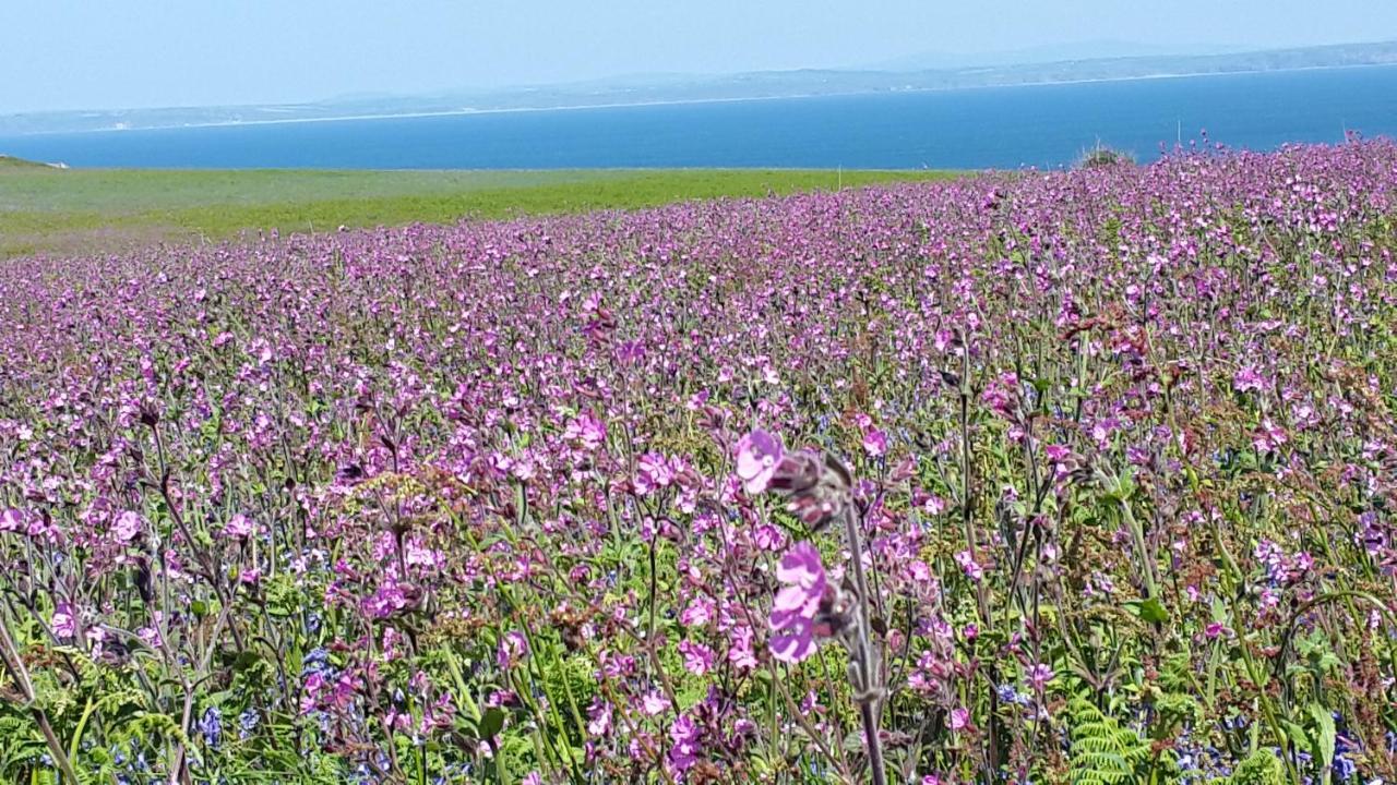 A Beach Holiday In Pembrokeshire Villa Екстериор снимка